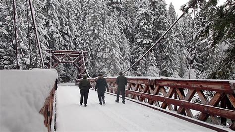 Mountain Moment Winter Walk Across The Longmire Suspension Bridge