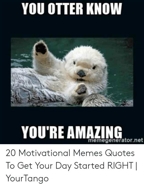 You Otter Know Youre Amazing Memegeneratornet 20 Motivational Memes