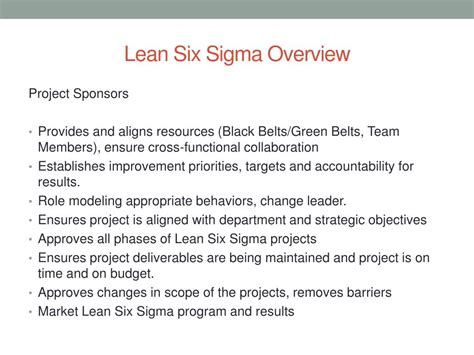 Lean Six Sigma Overview Riset