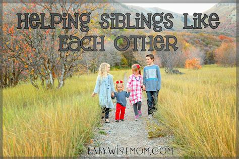 Helping Siblings Like Each Other Babywise Mom