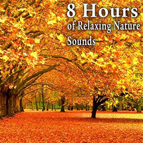 8 Hours Of Relaxing Nature Sounds By Nature Soundscape On Amazon Music
