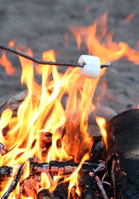 Smooth the foil, then wrap your hands around it. Choosing The Right Stick for Roasting Marshmallows - - The ...