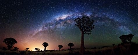 Milky Way Galaxy Over Quiver Tree Forest Earth Blog