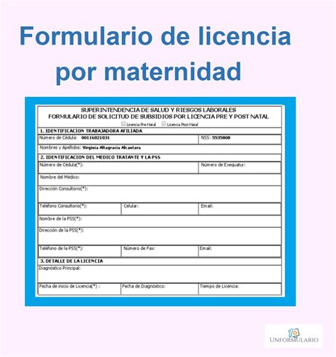 Modelo De Solicitud De Licencia Por Maternidad Actualizado Noviembre