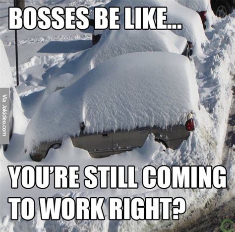 Bosses Be Like Snow Meme Funny Pictures Funny Memes