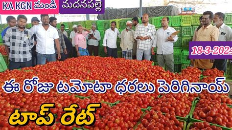 మదనపలల టమట టప రట ధరల madanapalle tomato market prices today