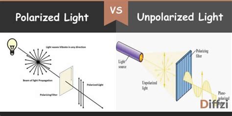 Polarized Light Vs Unpolarized Light Diffzi