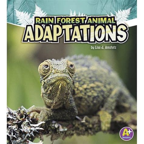 Amazing Animal Adaptations Rain Forest Animal Adaptations Paperback