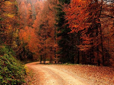 Free Download Wallpapers Autumn Fall Nature Nature Wallpapers Popular