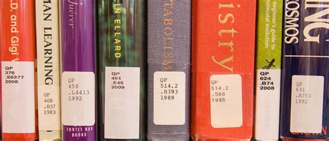 30 How To Label Library Books Labels Design Ideas 2020