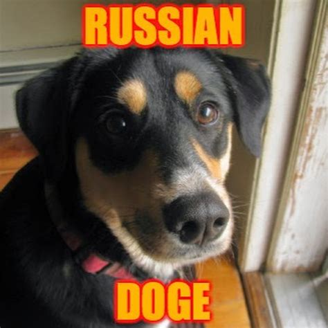 Russian Doge Youtube