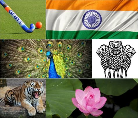 National Symbols Of Indiaemblembirdanimalflower Of India