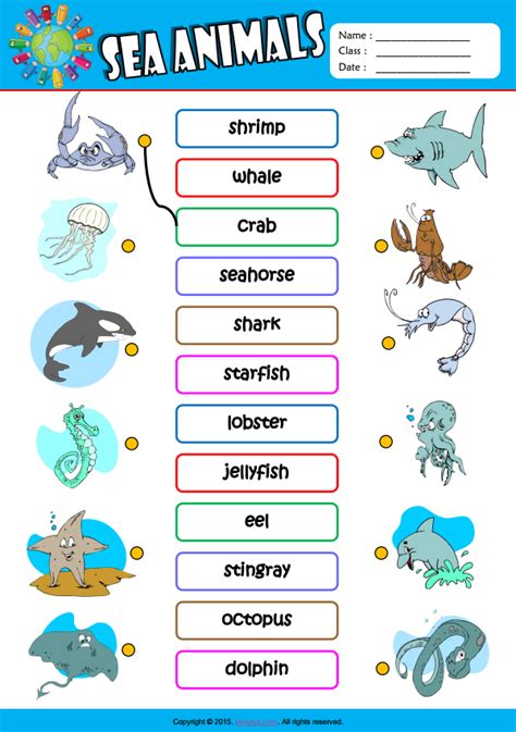 Sea Animals Matching Worksheet