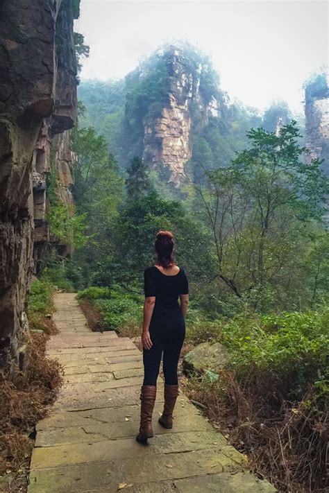 Rising from the subtropical and temperate forests of northwest hunan, zhangjiajie (张家界; Climbing China's Avatar Mountain in Zhangjiajie National ...