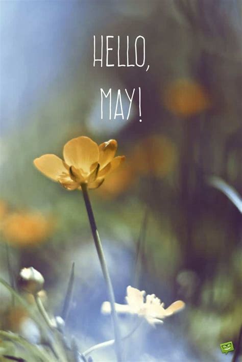 Hello May Quotes Printable Oppidan Library