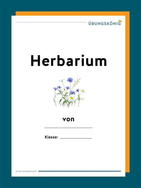 Die 10+ besten bilder zu herbarium. Herbarium in 2020 | Herbarium vorlage, Genaues lesen ...