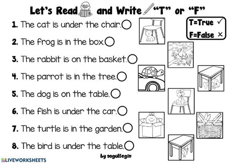 Pets Online 2nd Grade Worksheets Pet 1 Prepositions School Subjects