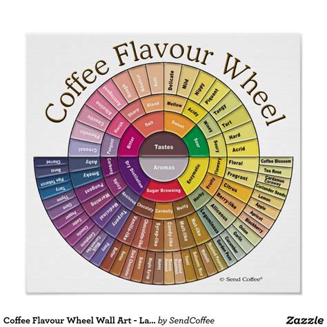 Coffee Flavour Wheel Wall Art Large Coffee Aroma Coffee Creamer