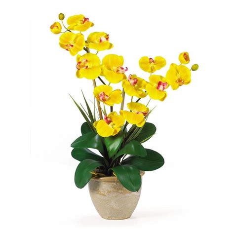 Nearly Natural 25 In Artificial Double Stem Phalaenopsis Silk Orchid