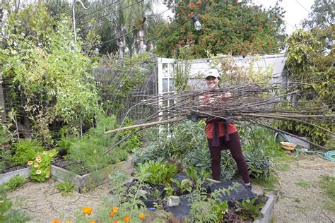 Garden Diy Projects Using Branches Sticks And Twigs