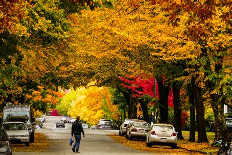 2017 Autumn Colors Transformation in Vancouver BC Canada | Flickr