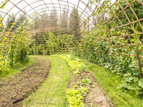 We did not find results for: Moderne Garten Idee:Rankhilfen Im Garten Selber Bauen ...