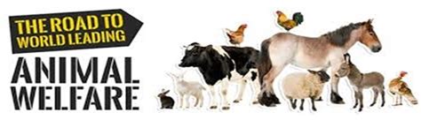 Pejabat perkhidmatan veterinar daerah kuala. KEZALIMAN TERHADAP HAIWAN ~ PEJABAT PERKHIDMATAN VETERINAR ...