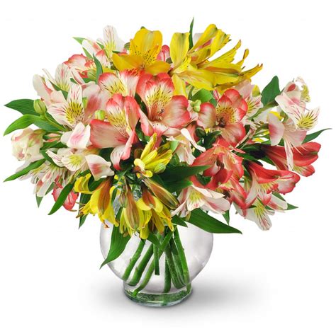 Lily Arrangements And Bouquet Ideas
