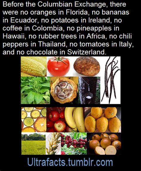 Columbian Exchange Food Map