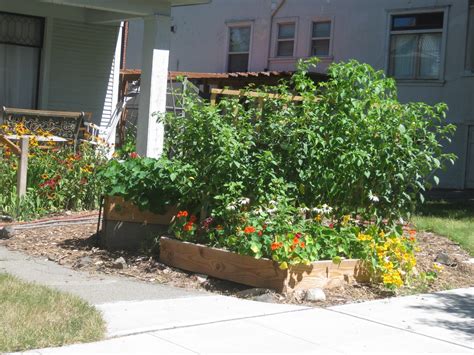 Life In Old Spokane Front Yard Raised Beds Glorious