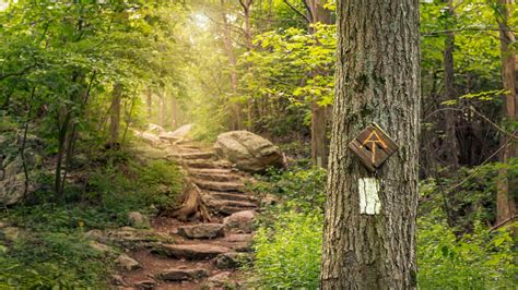 Appalachian Trail A Guide To Hiking The 2200 Mile At