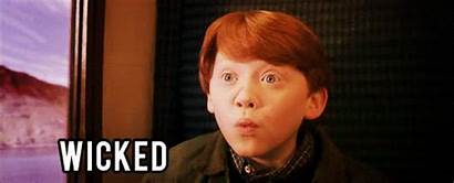 Ron Weasley Quotes Potter Harry Wicked Meme