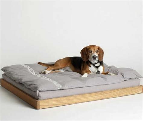 15 Creative Dog Bed Design Ideas Home Design And Interior