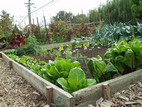 Estimate how much money you'll need to start by adding initial expenses. How To Start A Vegetable Garden