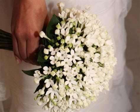 Non è un caso che i fiori bianchi siano i preferiti per i bouquet della sposa. SPOSARSI A SETTEMBRE: QUALI FIORI OFFRE LA STAGIONE ...