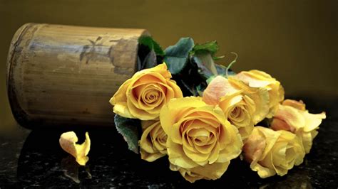 Ingyenes Háttérképek Virágok Sárga Növényvilág Rózsák Virágszirom