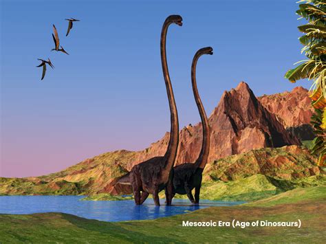 The Fascinating Connection Chickens As Descendants Of Dinosaurs