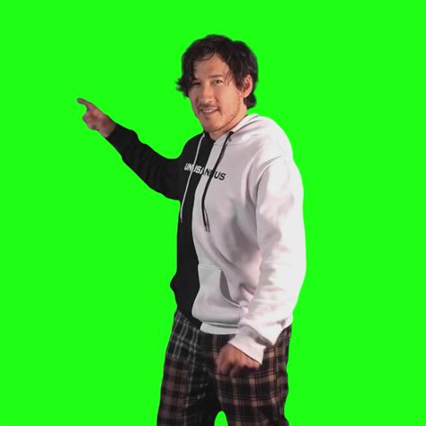 Markiplier This Right Here Is My Favorite Thing Green Screen