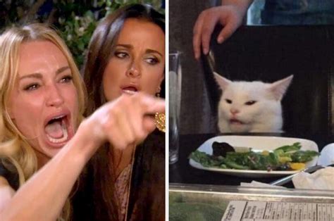Woman Yelling At Cat Template Meme Womanyellingatcat Funny Cat