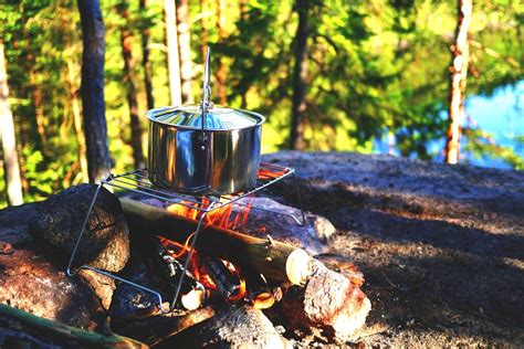 Survival Cooking: Delicious And Quick Recipes to Save You in Need