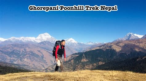 Pokhara To Ghorepani Poon Hill Trek Amazing Trekking In The Himalayas