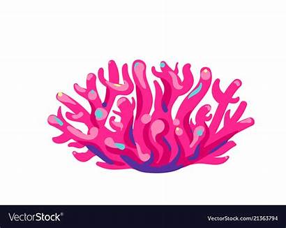 Coral Background Pink Vector Vectorstock Royalty Illustration