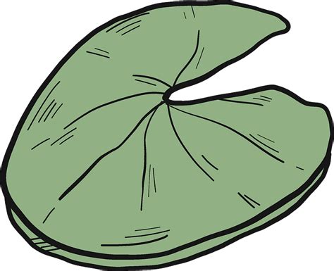 Lily Pad Png Png Image Collection