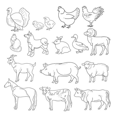 Cartoon Set Of Farm Animals — Stock Vector © Antonbrand 8055095
