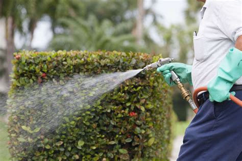 Czech hall road, mustang, ok 73064. pest_control_oklahoma_24 | Complete Pest Control, Inc.