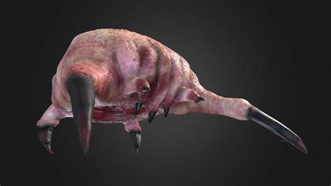 Headcrab K Textures Free Download Free D Model By Marc C