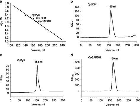 Size Exclusion Chromatography Of CpLDH1 CpGAPDH And CpPyK