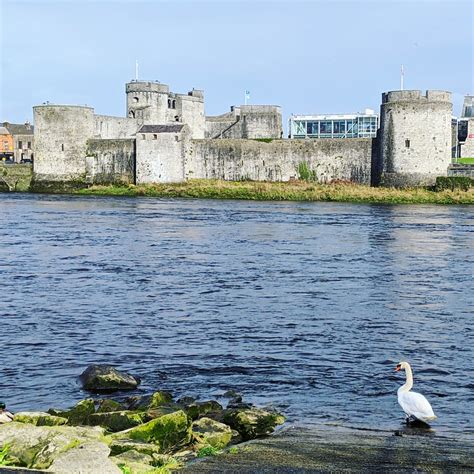 Fantastic Things To Do In Limerick Ireland