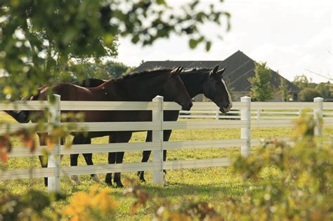 5 Fence Options Designed Your Horse Farm