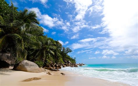 Download Wallpaper 3840x2400 Shore Ocean Waves Palm Trees Tropics